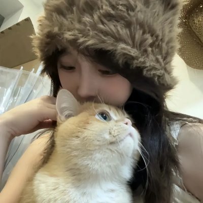 纽泽西爱未眠